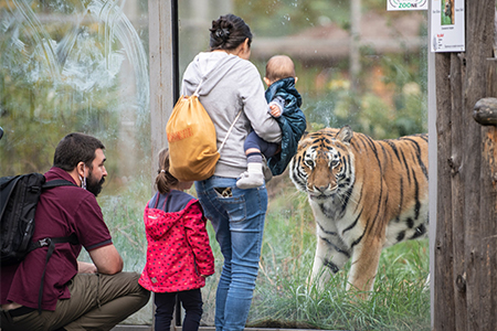 A family visiting zoo