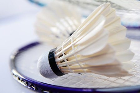 detail of shuttlecocks and badminton racket.