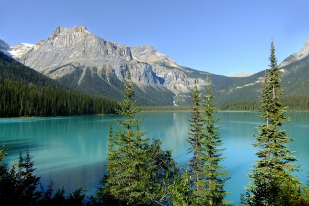 emerald-lake-yoho-national-park-british-columbia-canada