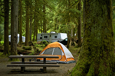 Small Orange Tent and Travel Trailer in the Background. Deep Forest Campground