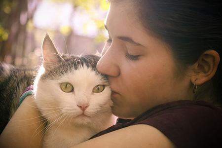 summer sunny photo of teenager girl hugging cat close up outdoor photo