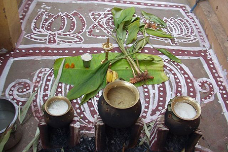 Pongal food offering in Pots