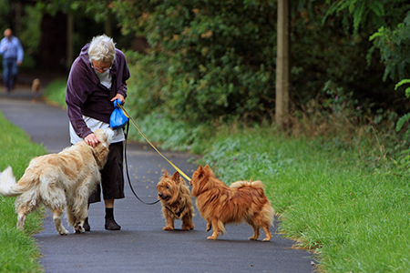 senior woman walking 3 dogs on a leash
