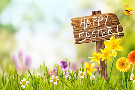 Joyful colorful spring background for a Happy easter with seasonal greeting handwritten on a rustic 