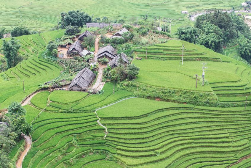Rice Terraces in Northern of Vietnam