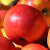 mcintosh apples at supermarket