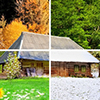 Four seasons in one photo. The wooden house (winter)