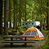 Small Orange Tent and Travel Trailer in the Background. Deep Forest Campground