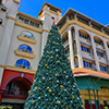 Port Louis, Mauritius - Jan 4, 2017. Christmas tree at the main square of Port Louis, Mauritius.