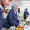 Quality control workers inspecting tomatoes on production line in food processing plant