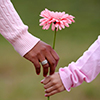 Mother-daughter close up hands holding flower - pink sleeves