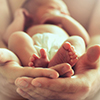 strong male hands holding sleeping newborn baby, photo with soft blur effect