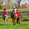 Children riding ponies