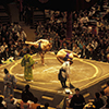a sumo fight in the sumo arena in the City center of Tokyo in Japan in Asia,