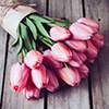Bunch of fresh spring pink tulips on old vintage wooden board, copy space