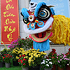 flower festival for Lunar new year decoration in Vietnam with many kind of colorful flowers in woode