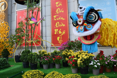 flower festival for Lunar new year decoration in Vietnam with many kind of colorful flowers in woode